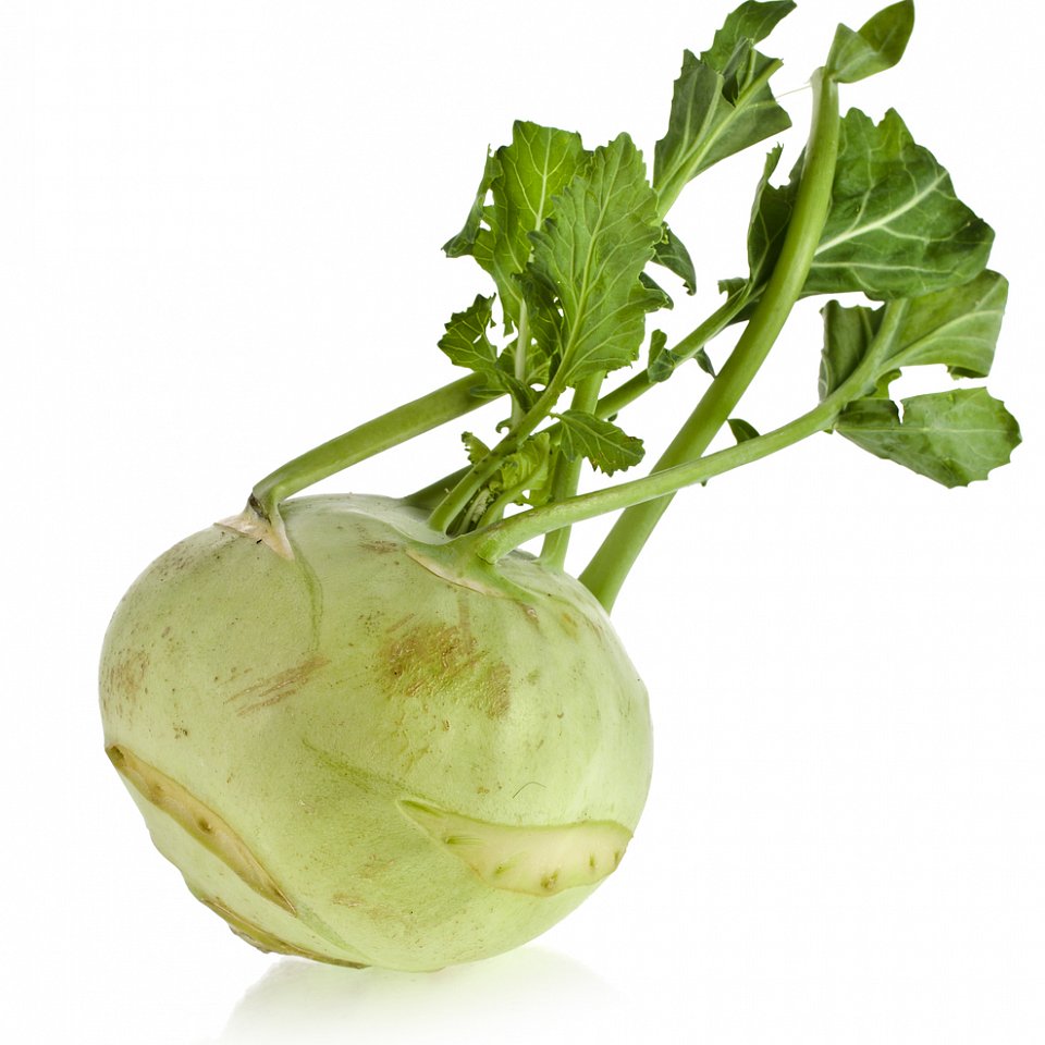 Kohlraben 10-12er