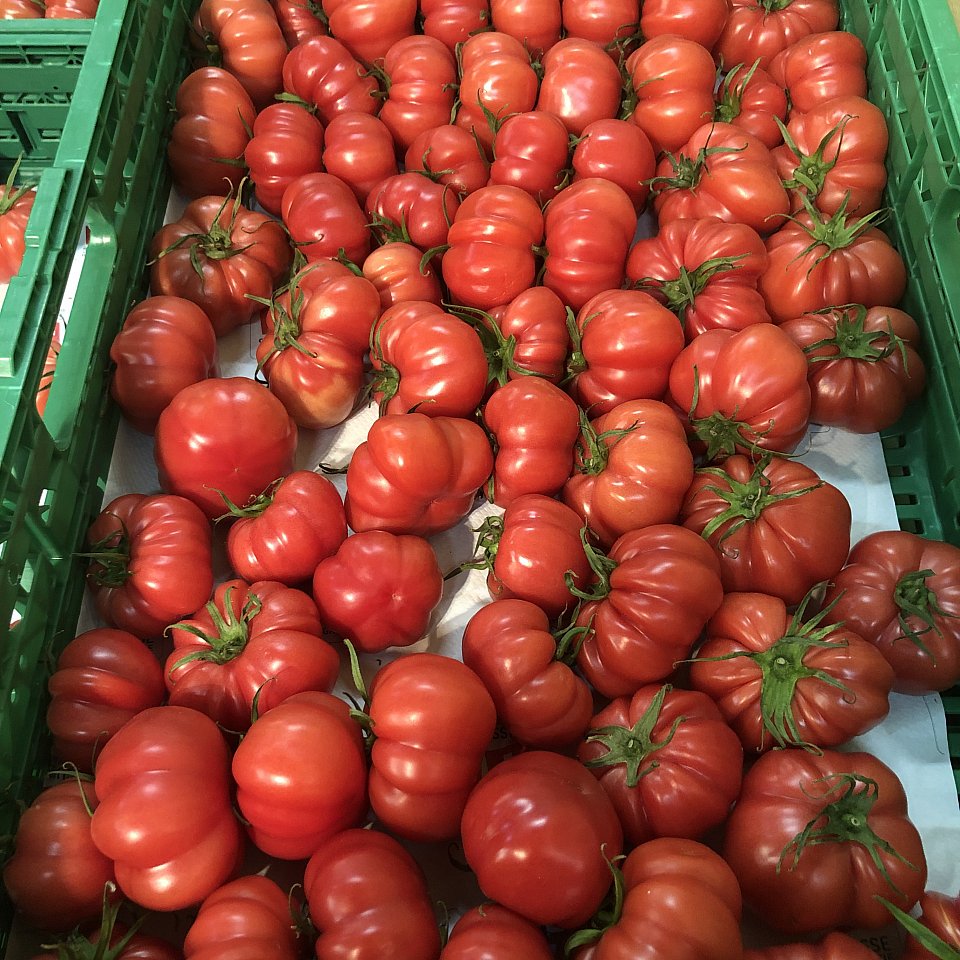 Tomaten Extra `Marmande Rosa`