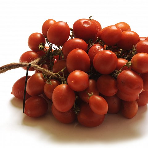 Tomaten Pendolino Extra