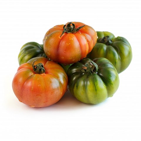 Tomaten `Merinda` Extra