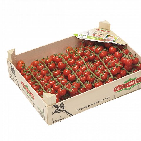 Tomaten Cherry-Ramato Bretagne