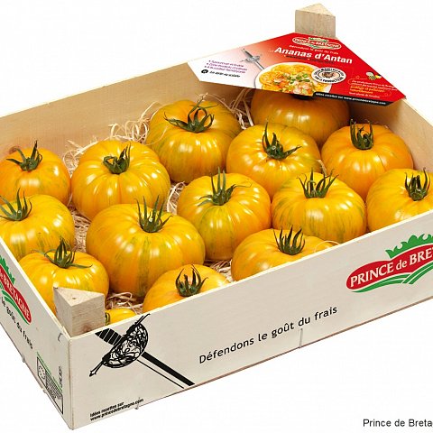 Tomaten Ananas