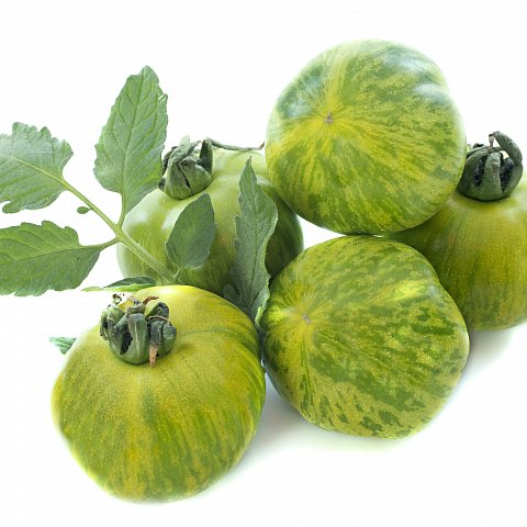 Tomaten Green Zebra