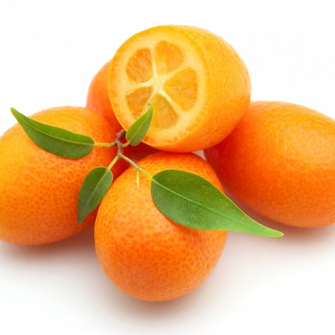 Kumquats