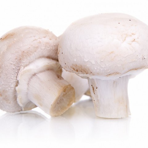 Champignons II.Qual. 1kg