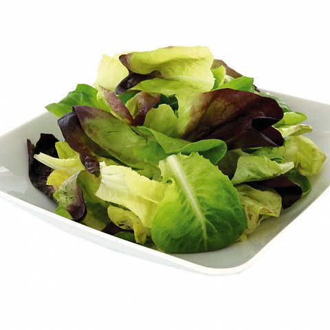 Kopfsalat Herzblatt ganz 500 g