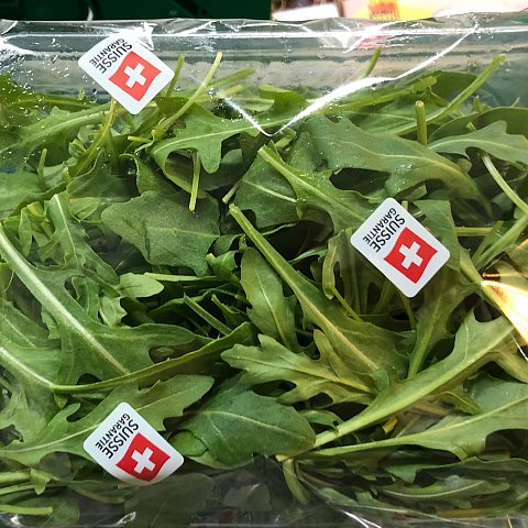 Rucola Schalen 10x100gr.