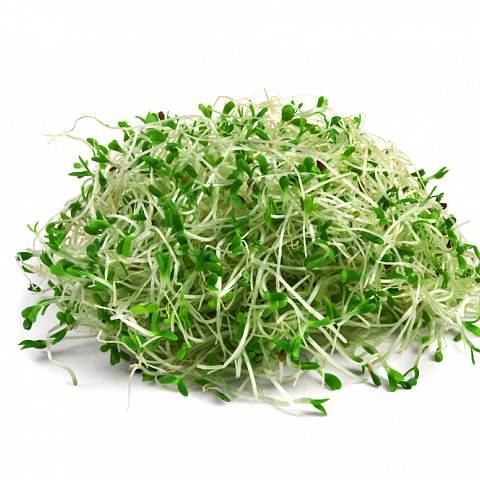 Alfalfa Sprossen 100gr.