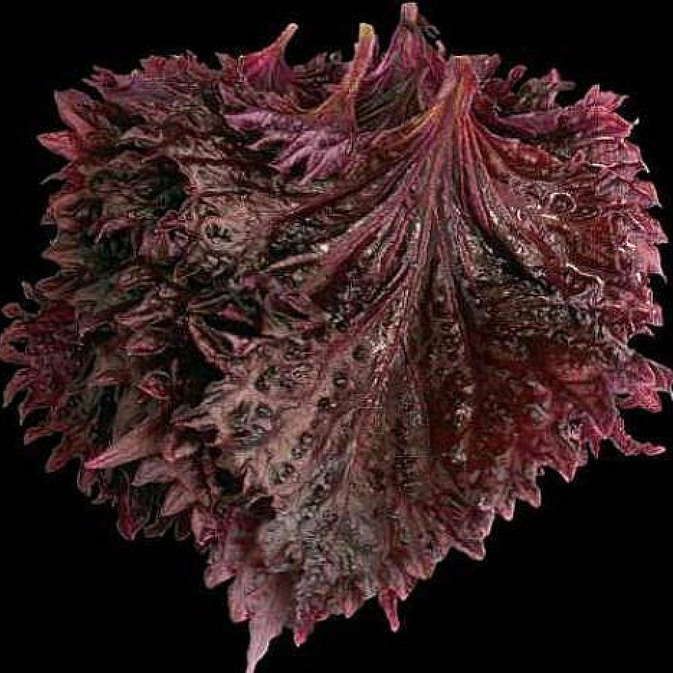 Shiso Purple Kresse 40gr 2Bfresh