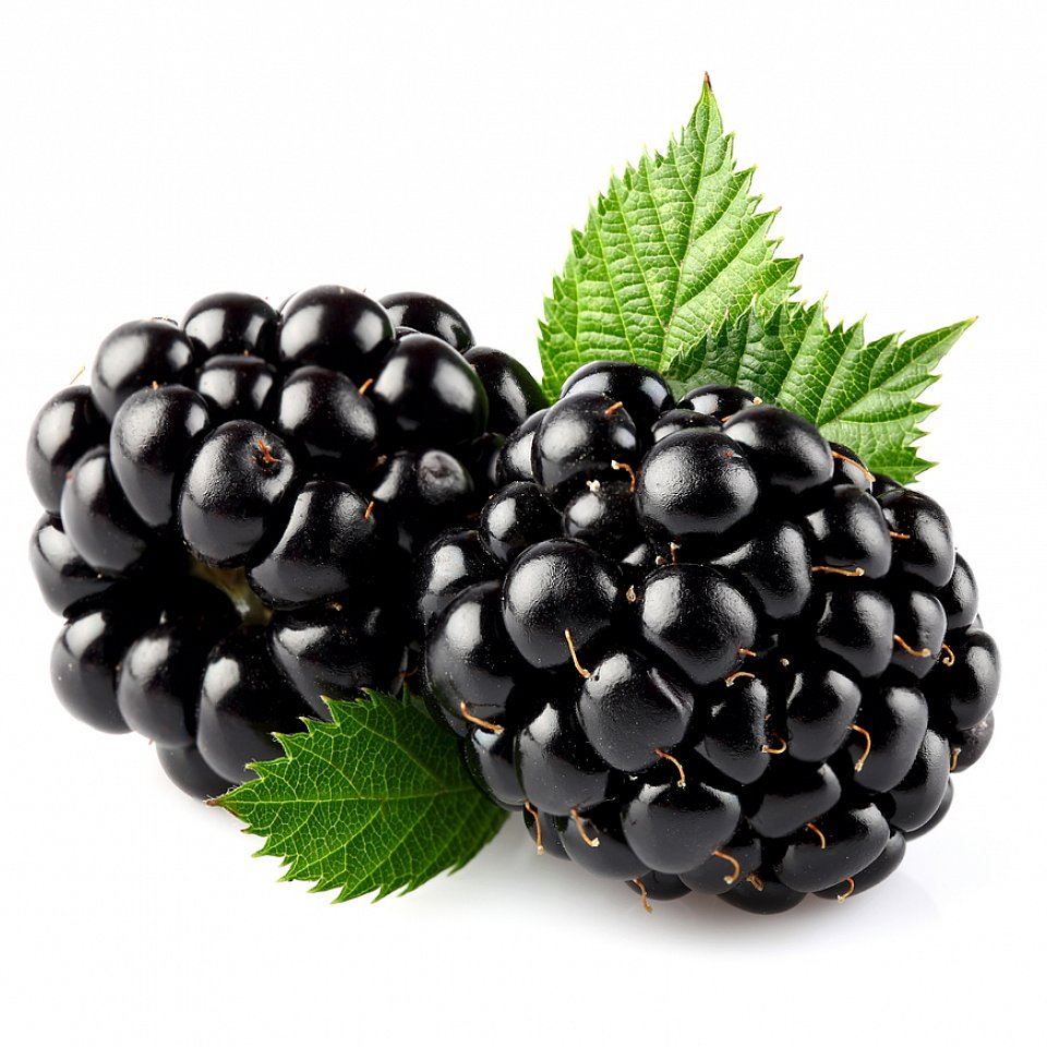 Brombeeren 8x125gr.