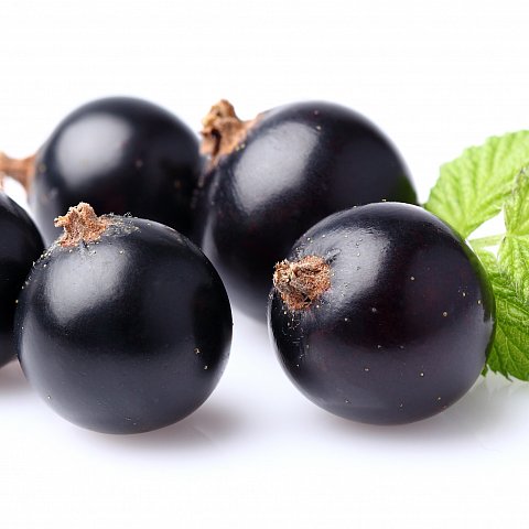 Cassis schwarz 8x250gr.