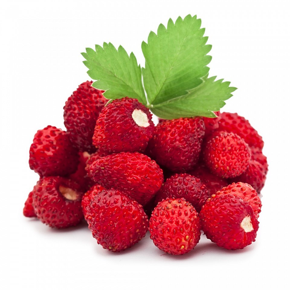 Waldberdbeeren frisch 8x125gr.