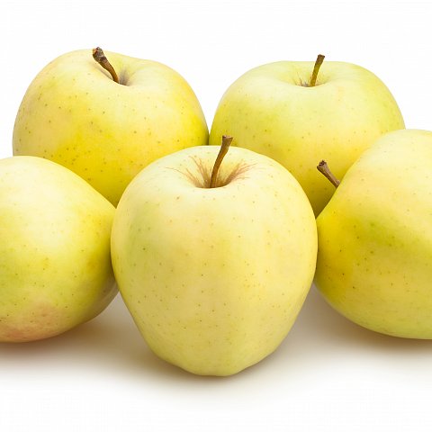 Golden Delicious CH II.Qual.