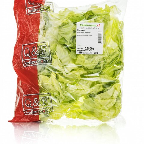 Kopfsalat Sandwich 500 g