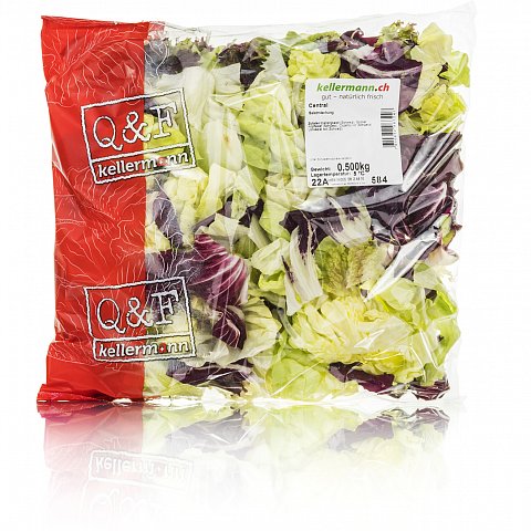 Mischsalat Central 500 g