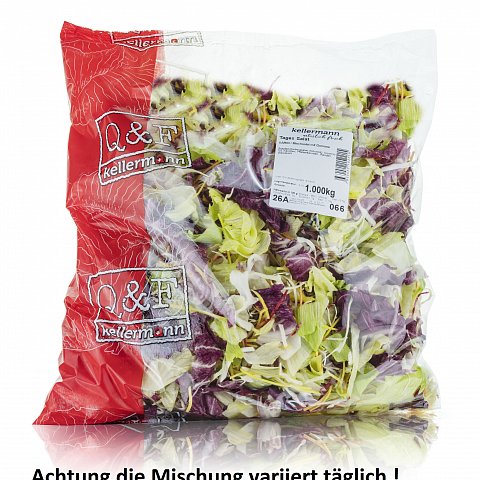 Vario Tages Salat 1kg