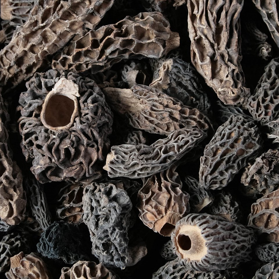 Spitzmorcheln getrocknet 250gr.